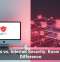 Antivirus vs. Internet Security: Know the Real Difference