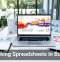 Rethinking Spreadsheets in Business